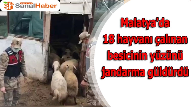Malatya'da 18 hayvanı çalınan besicinin yüzünü jandarma güldürdü
