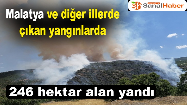 Malatya ve diğer illerde çıkan yangınlarda 246 hektar alan yandı