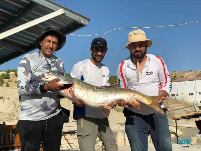 Oltayla 26 kiloluk dev turna balığı yakaladılar
