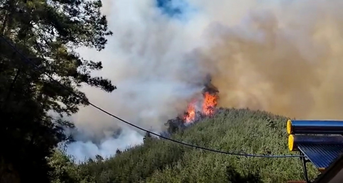 Orman yangınına müdahale sürüyor
