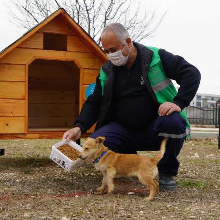 Parklara kedi ve köpek evleri kuruluyor
