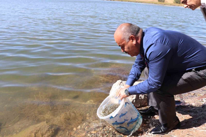 Sivas´ta 1 milyon adet yavru balık göllere bırakıldı
