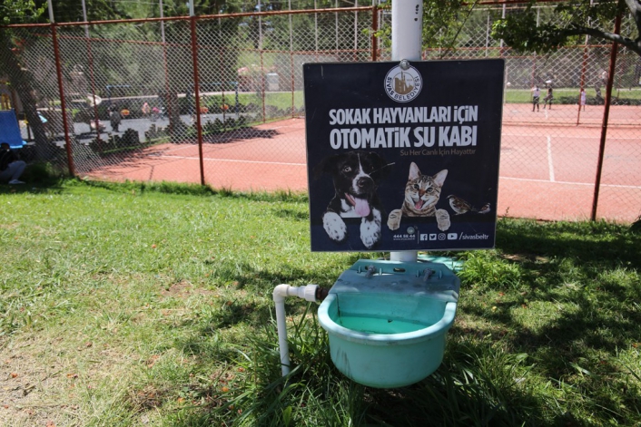 Sokak hayvanları için otomatik sulama sistemi
