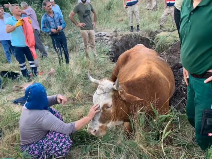 Su kuyusuna düşen inek, 40 dakikalık çalışmayla kurtarıldı
