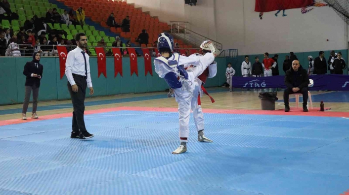 Taekwondo il şampiyonası Elazığ´da başladı
