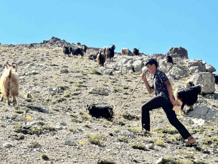 Yaylada çobanlık yapan Muhammet, LGS´de Türkiye ikincisi oldu
