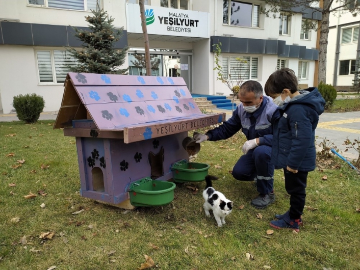 Yeşilyurt´ta sokak hayvanları için Kedi ve Köpek Evler Projesi
