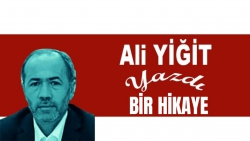 Ali Yiğit